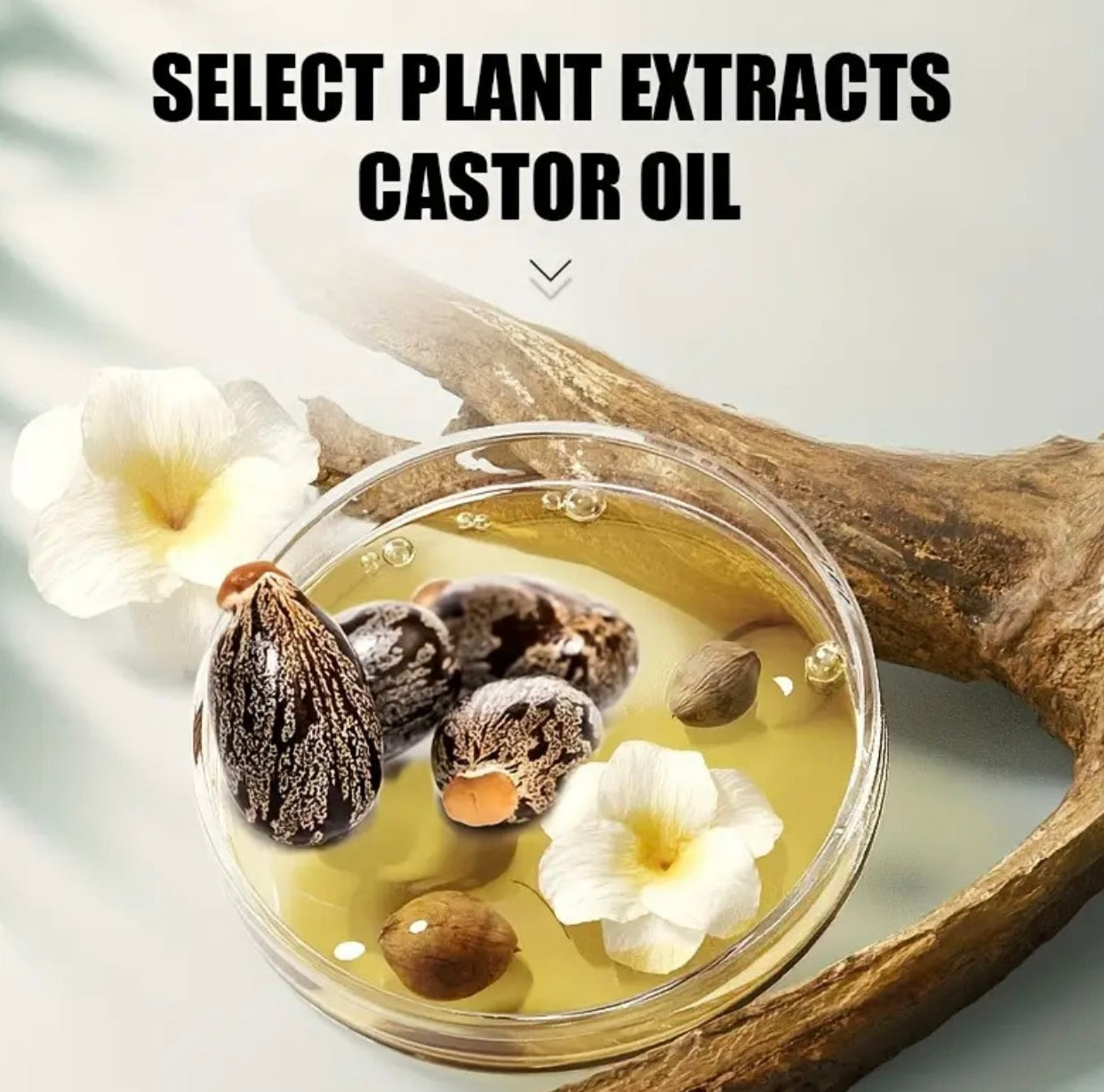 Rozino Castor Hair Oil – Strengthen, Nourish & Restore Your Hair